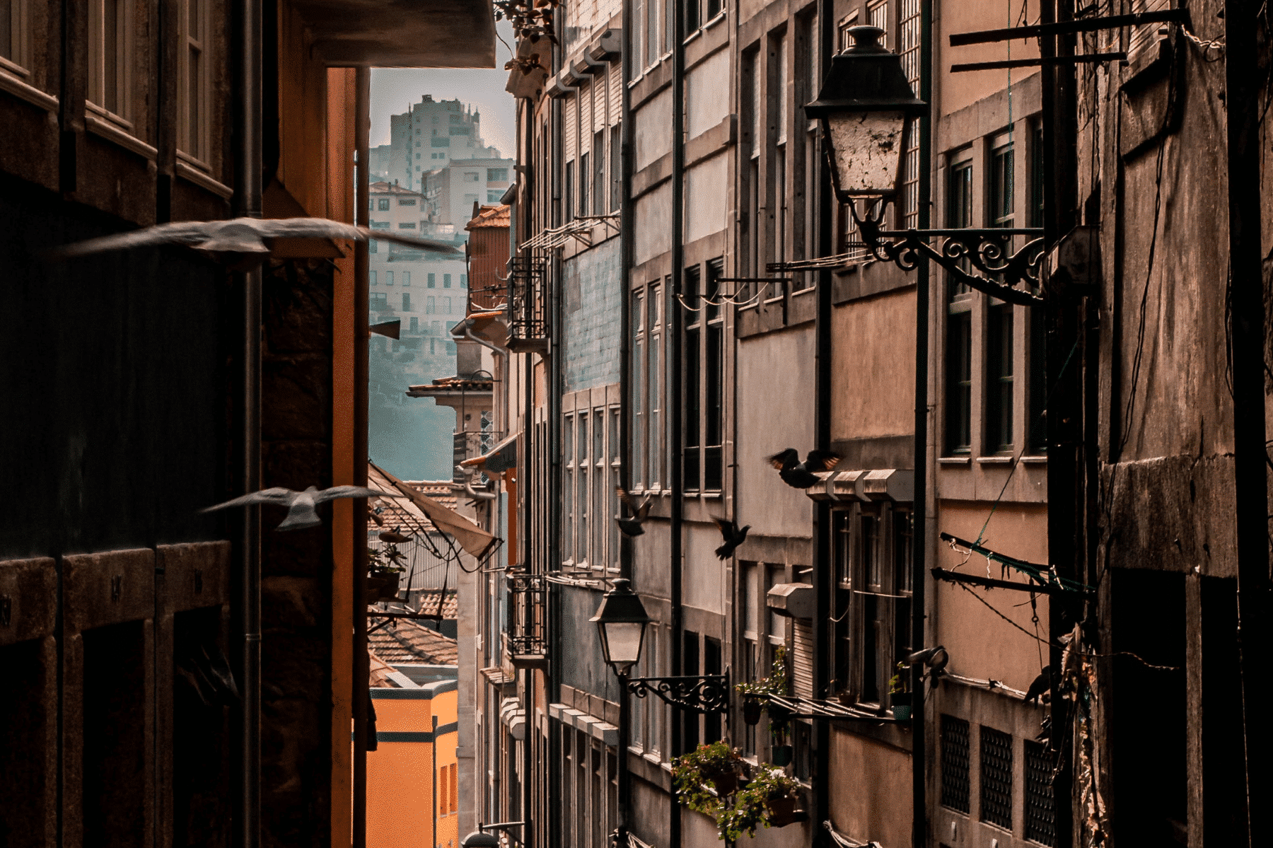 Street in Porto Portugal