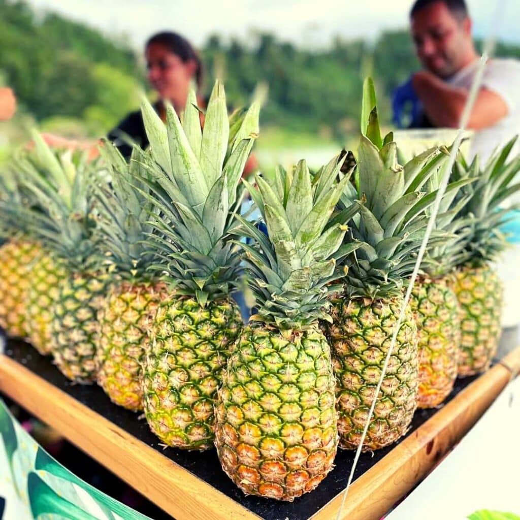 Pineapples-Azores-ECMeetings